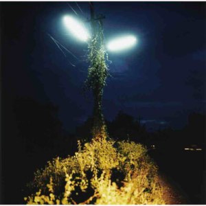 Dayanita Singh: Dream Villa, 2010.