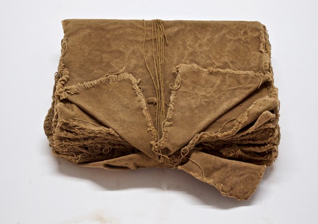 pfn-michelle-stuart-venice-01